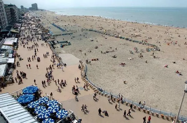 公寓 Toffe Studio Op 300M Van De Zeedijk Van Oostende